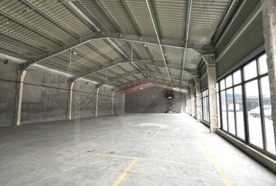 Spatiu comercial 600mp open space, zona Ambient Someseni - 3