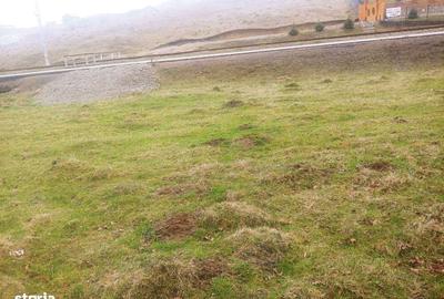 Spațiu comercial, în Paltin - 15