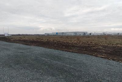 Teren de 4310 mp, în Ghiroda - 6