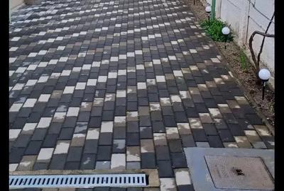 Casă cu 3 camere în Terezian