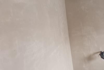 Casă individuală cu 2 camere cu Teren 400 Mp în Clinceni - 2