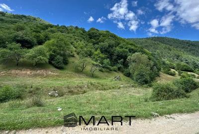 Teren intravilan 8500mp Rasinari - 2