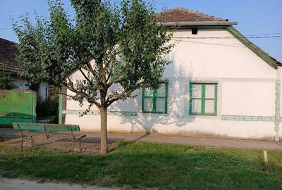 Casă cu 3 camere cu Teren 700 Mp în Peciu Nou - 2