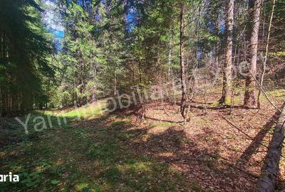 Teren de 983 mp, în Nucșoara - 7