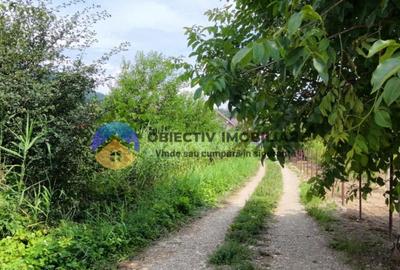 Teren intravilan com. Alexandru cel Bun- Viisoara - 13