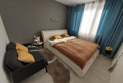 Apartament cu 2 camere decomandat, mobilat în Giurgiului - 12