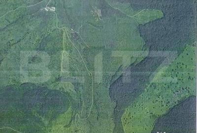 Teren de 49300 mp, în Central - 1