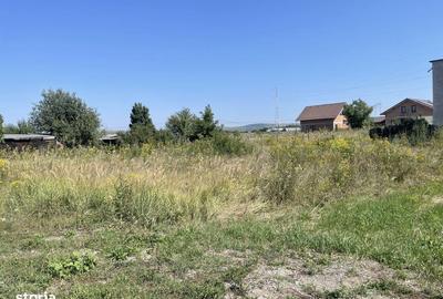 Spațiu comercial, în Veterani - 5