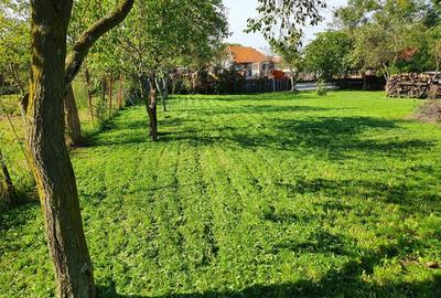 Casă cu 4 camere cu Teren 1600 Mp în Orțișoara - 1