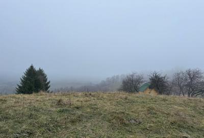 Teren Poiana Marului -Zarnesti -Brasov - 1