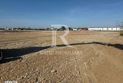 Teren de 10000 mp, în Sânmartin - 3