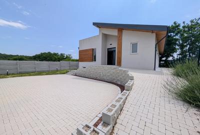 Casa 4+4 camere 250mp | 0 comision | Tancabesti | Parter + Demisol | 564mp teren - 47