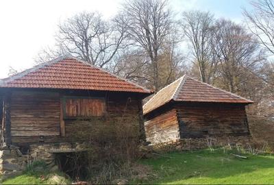 Spațiu comercial, în Pui - 1