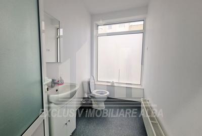 Spațiu comercial, de 400 mp, în Cetate - 12