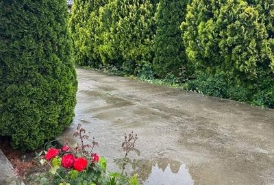 Casă individuală cu 6 camere cu Teren 4265 Mp în Izbiceni - 11