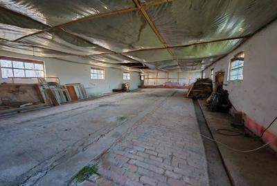 Casă cu 4 camere cu Teren 12000 Mp în Laza - 2