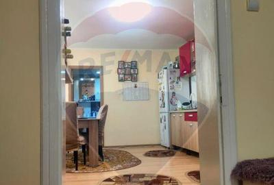 Casa la tara in satul Retis, comuna Bradeni, aproape de ... - 21