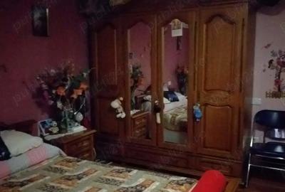 Casa de vinzare in comuna Iecea Mare jud Timid - 2