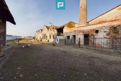 Teren ?i hale pe Calea Aradului din Periam - 12