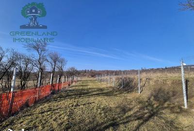 Teren de 560 mp, în Bârnova - 5
