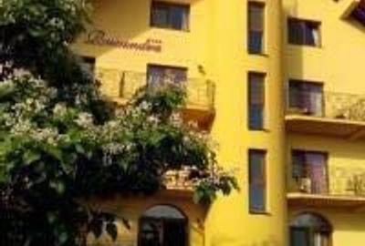 Casă cu 6 camere cu Teren 4000 Mp în Central - 7