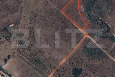 Teren de 4969 mp, în Central