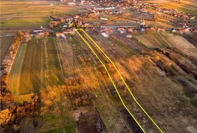 Teren de 5342 mp, în Țețchea - 8