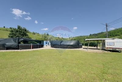 Pastravarie smart/ functionala/ Com.Rosia Bihor - 9