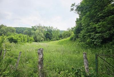 Teren intravilan lângă pădure – 1659 mp,  C.U. P+2E, Vărbilău