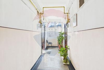 Comision 0%| Garsonieră de închiriat în Noua, peste drum de Penny - 10