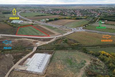 Teren pentru hala - Biharia - IMOBIHOR - 7