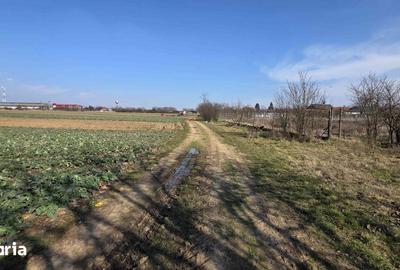 Casă cu 3 camere cu Teren 4041 Mp în Roșiori - 3