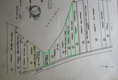 Ciolpani, stradal la D N 1, teren 1600/29 +3000, bun afacere, zona antenelor - 3
