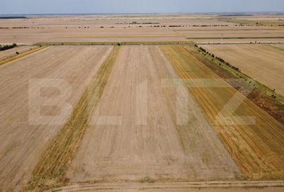 Teren Intravilan, de vanzare, 7500 mp, zona Mircea Voda - 1