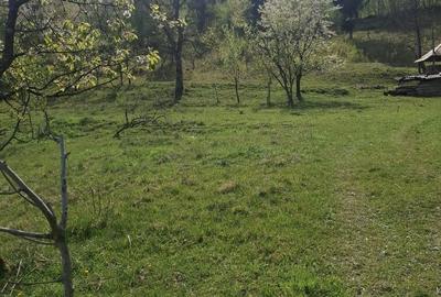 Spațiu comercial, în Valea Vișeului - 1