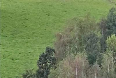 Spațiu comercial, în Mărcești - 3