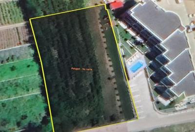 Teren intravilan 2000mp, stradal, vedere lac Tancabesti - Snagov, iesire DN1 Teren intravilan 2000mp, stradal, vedere lac Tancabesti - Snagov, iesire DN1 - 2