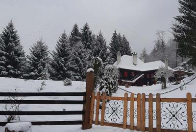 Cabana Sibiu Intravilan 4622mp Munte - 1