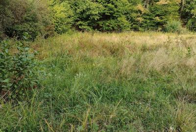 Spațiu comercial, în Poieni - 5