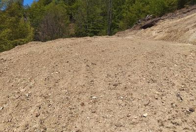 Teren de 15000 mp, în Cerna-Sat - 3