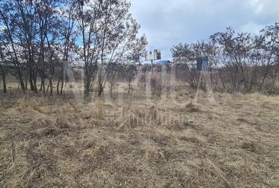 Teren Construcții intravilan de 7148 mp, în Zorilor - 1