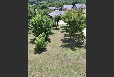 Casă 3 dormitoare la rosu Drajna - 7