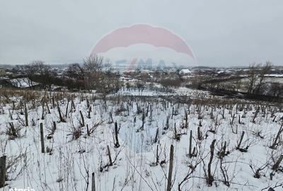 Teren de 6850 mp, în Central - 3