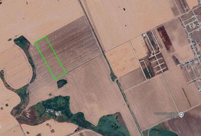 Teren de 22000 mp, în Vidra - 1