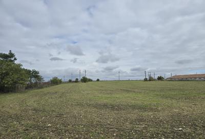 Amzacea- sat G. Scarisoreanu -Ferma zootehnica , 5,1 hectare - 5