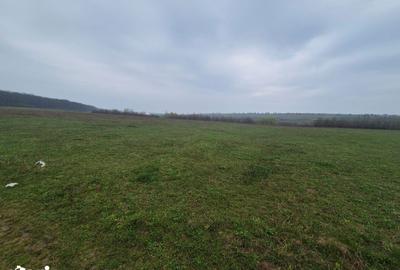 Teren de 10070 mp, în Mitocu Dragomirnei - 5