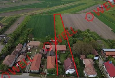 Casă individuală cu 3 camere cu Teren 3638 Mp în Mereni - 2