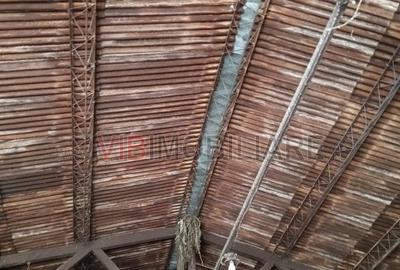 Depozit și hală industrială de vânzare – Orțișoara, complex industrial Avicola - 18