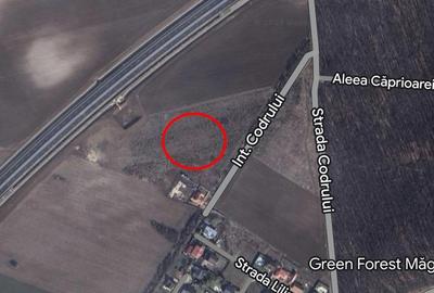 Teren Intravilan/ Corbeanca/ Padurea Petresti Teren Intravilan/ Corbeanca/ Padurea Petresti - 2