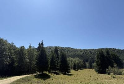 SUPER OCAZIE - Teren intravilan, COMANDAU - 8